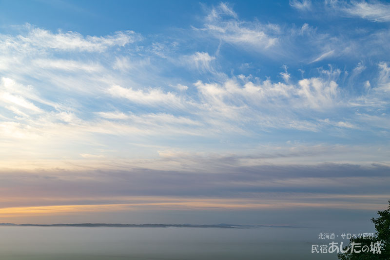サロベツ原野の朝霧