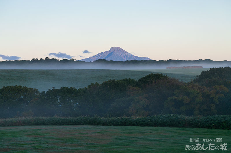 裏の丘にも朝霧が