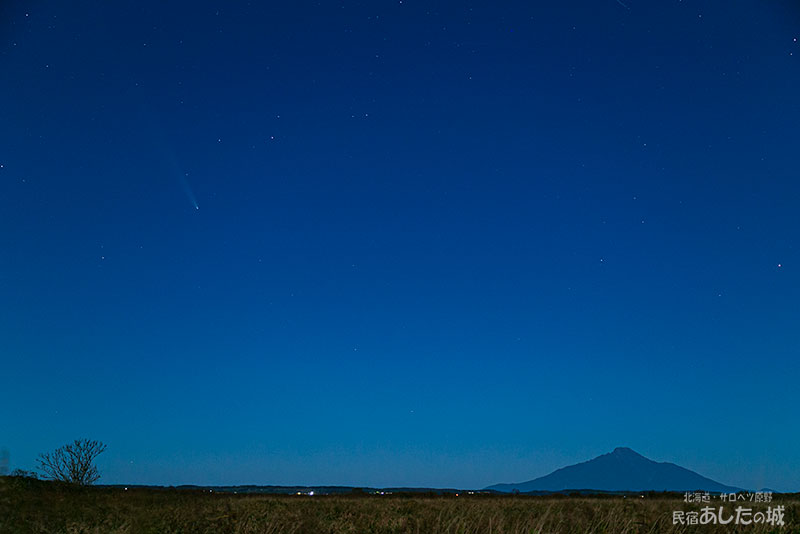 17日の紫金山・アトラス彗星