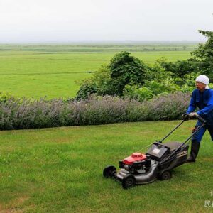 暑いけど芝刈り頑張ってます。