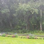 雨