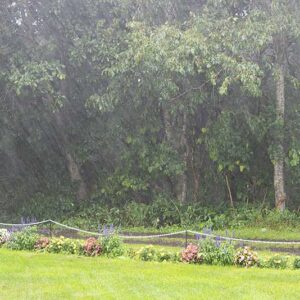 雨