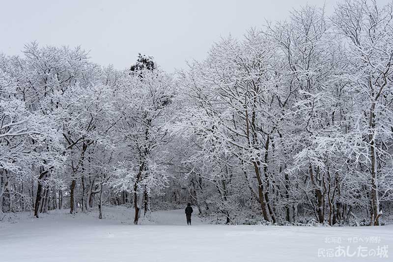 木立に積もった雪02