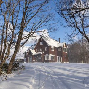 木立の雪も吹き飛ぶ