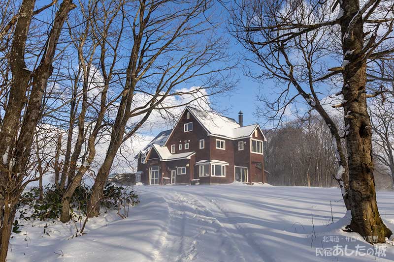 木立の雪も吹き飛ぶ