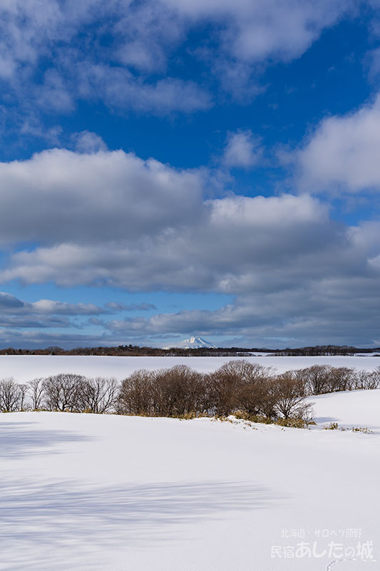 正午ごろの利尻01