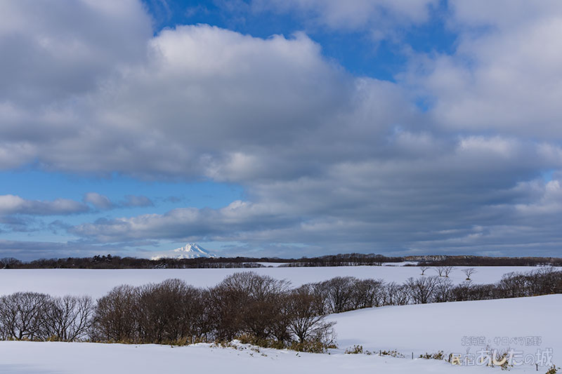 正午ごろの利尻02