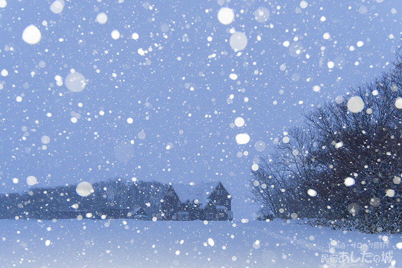 １月5日16時20分ごろ