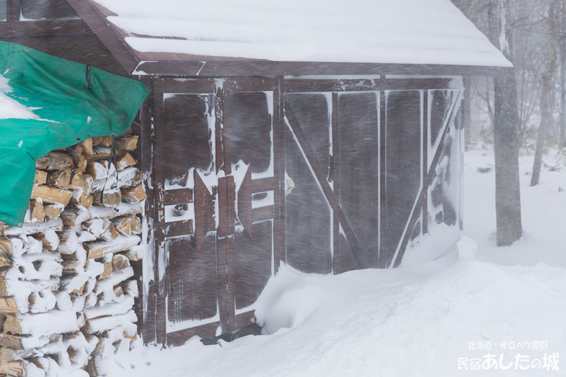 １月12日の地吹雪