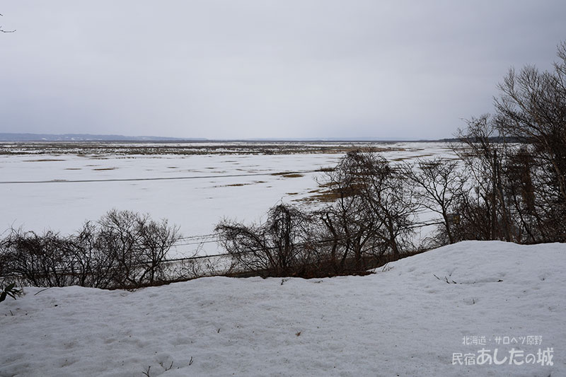 庭からサロベツ原野方面を見る