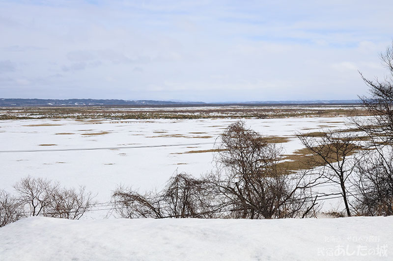 木を切る前の風景
