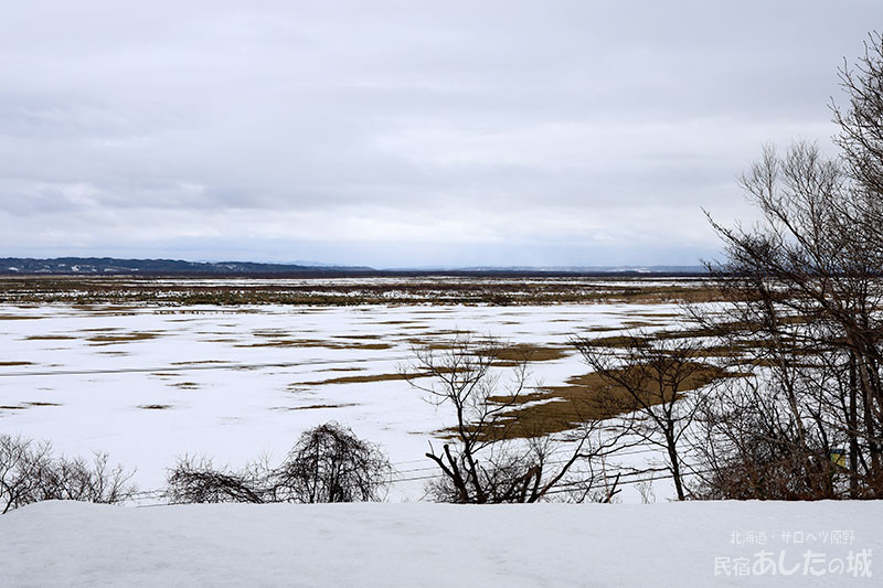 木を切った後の風景