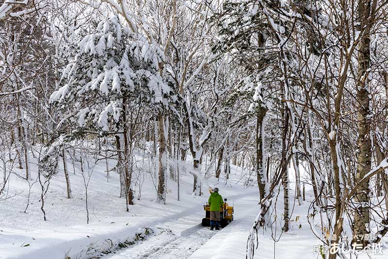 私道の中であまり積もっていないところ