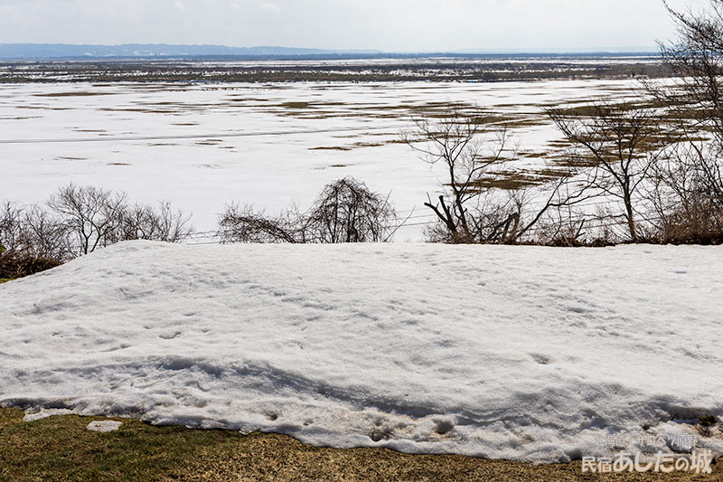 雪解けが進むサロベツ原野
