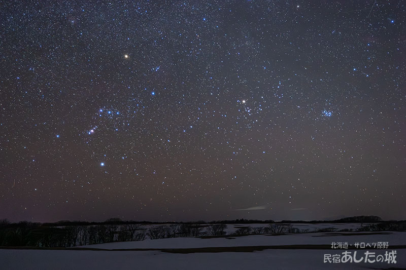 オリオンと雄牛