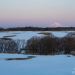３月１８日　ビーナスベルトと利尻その２