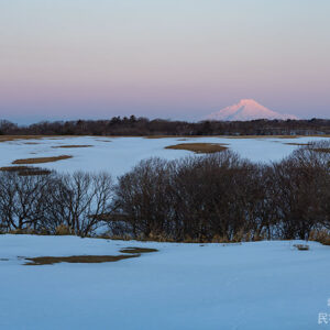 ３月１８日　ビーナスベルトと利尻その２