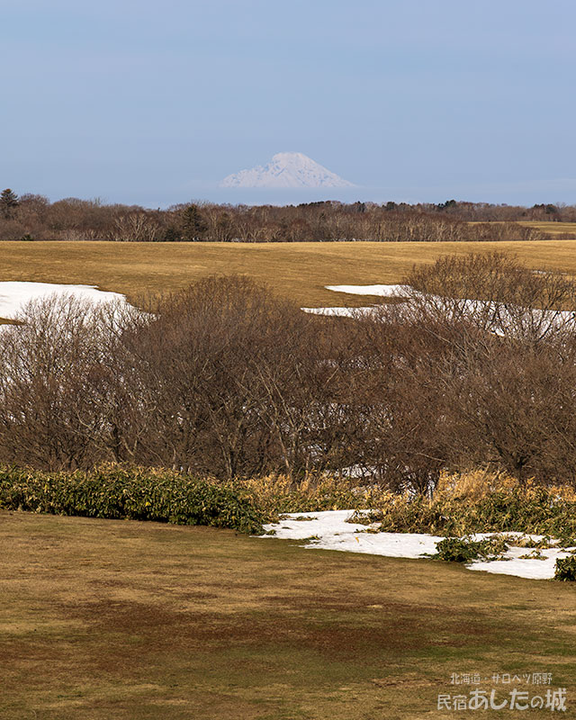 亡霊のような利尻