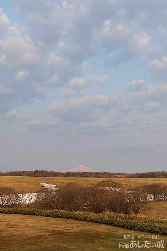 ３月３１日の朝