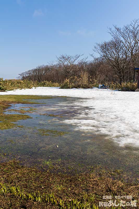 裏庭の北東側奥