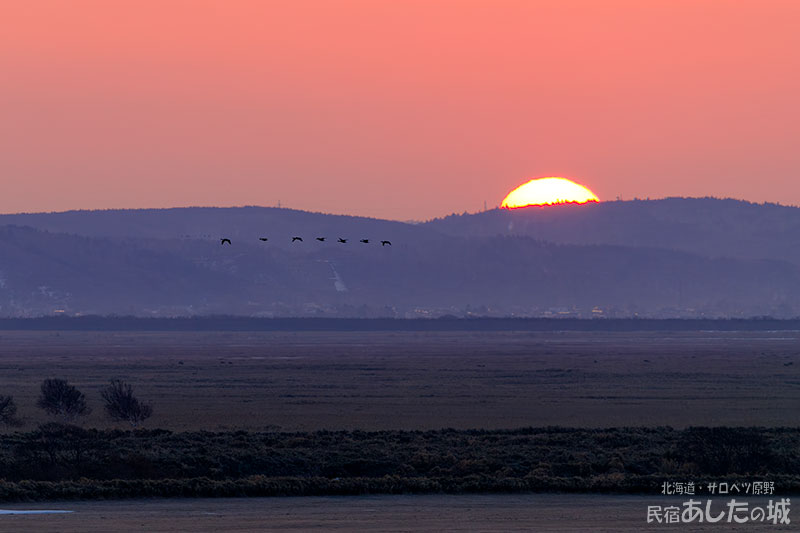 日の出と渡り鳥