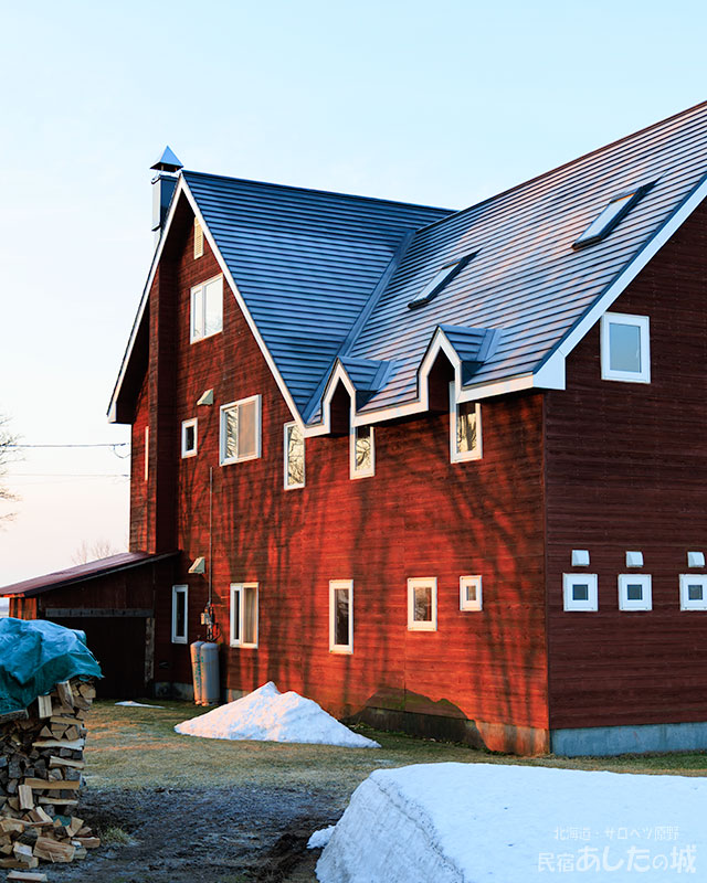 宿の壁に写る木立の影