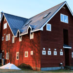 宿の壁に写る木立の影02