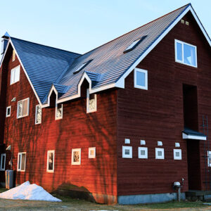 宿の壁に写る木立の影02