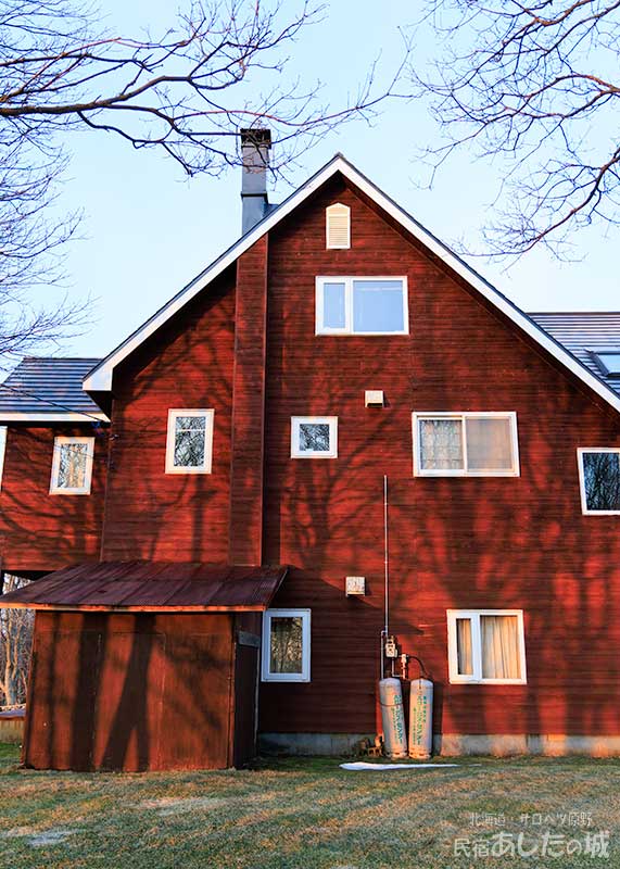 宿の壁に写る木立の影03