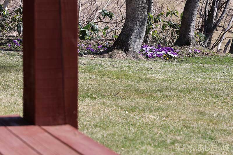 4月3日 ベランダから見る