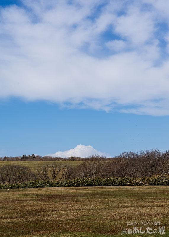 利尻にかぶった雪!