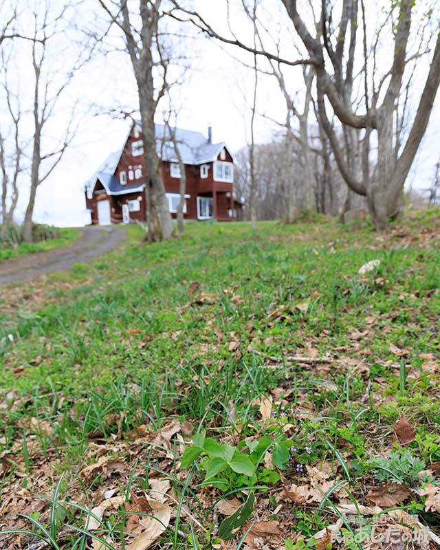 私道わきの林の中