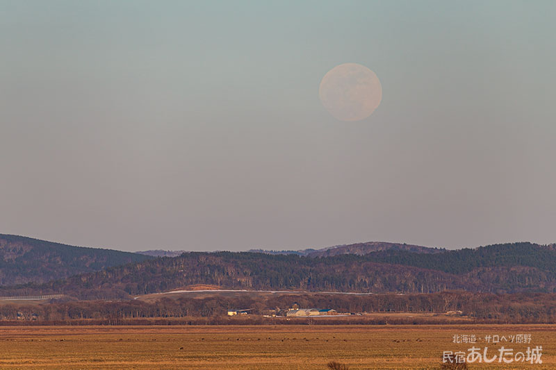 ４月１日の17時28分ごろ