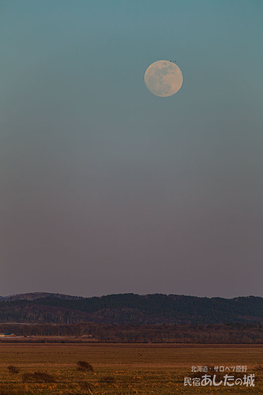 ４月１日の17時39分ごろ
