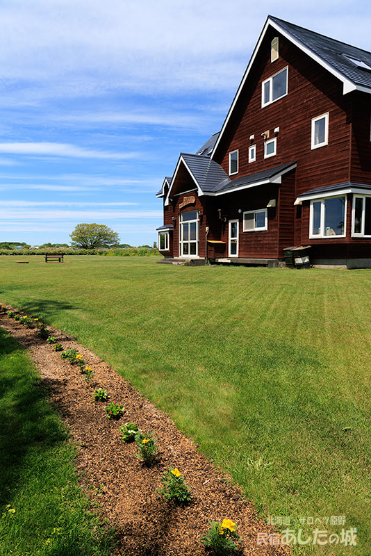 帯花壇と建物