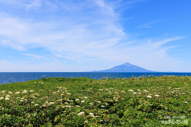 稚咲内より天塩より